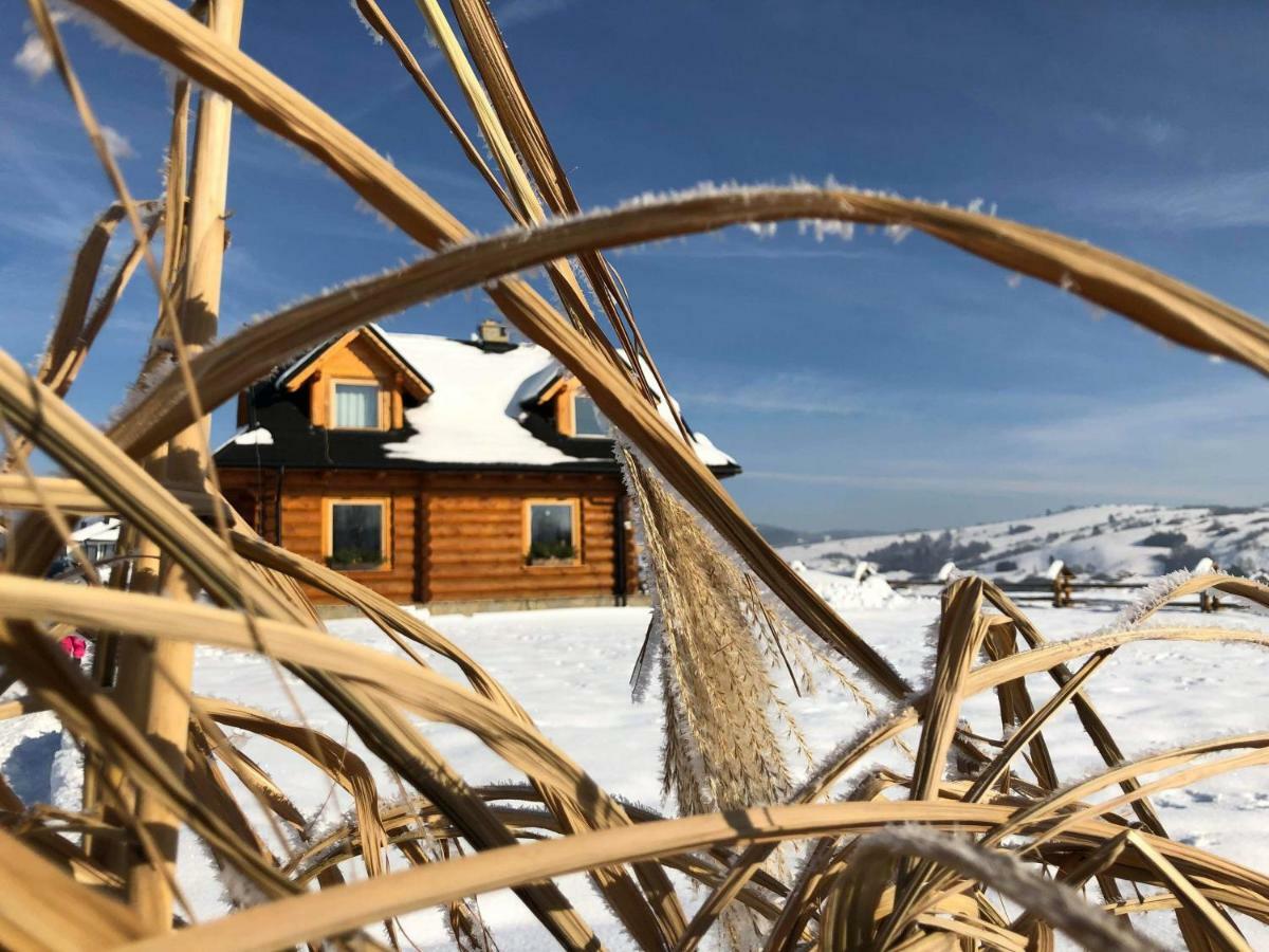 Domek Pod Limbami Kluszkowce Bagian luar foto